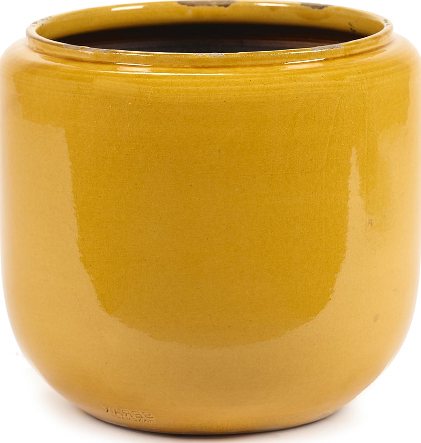 Costa Κασπώ, 21 εκ., κίτρινο