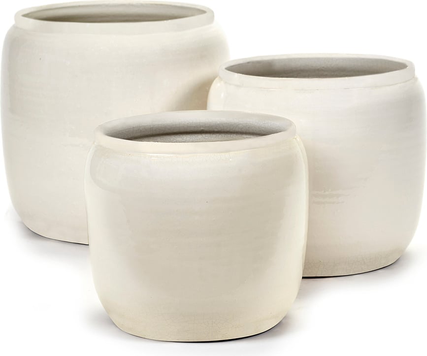 Costa Κασπώ, 21 cm, πράσινο