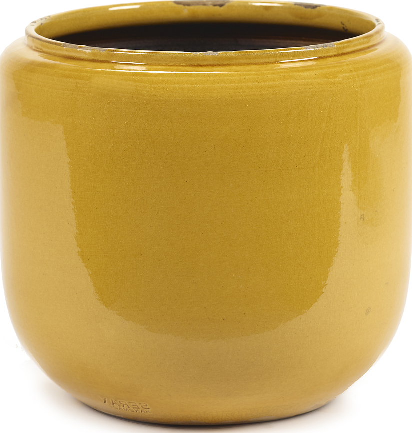 Costa Ukrasna posuda 21 cm žuta