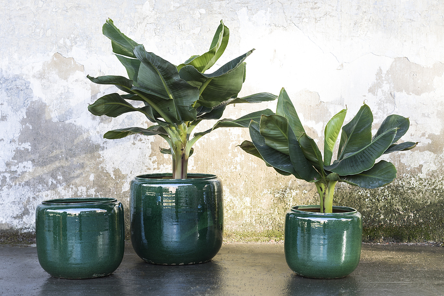 Costa Tegla 21 cm zelena