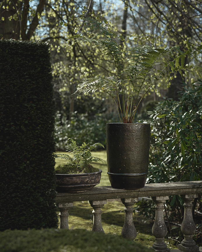 Dune Lonček, 38 cm, temno rjav