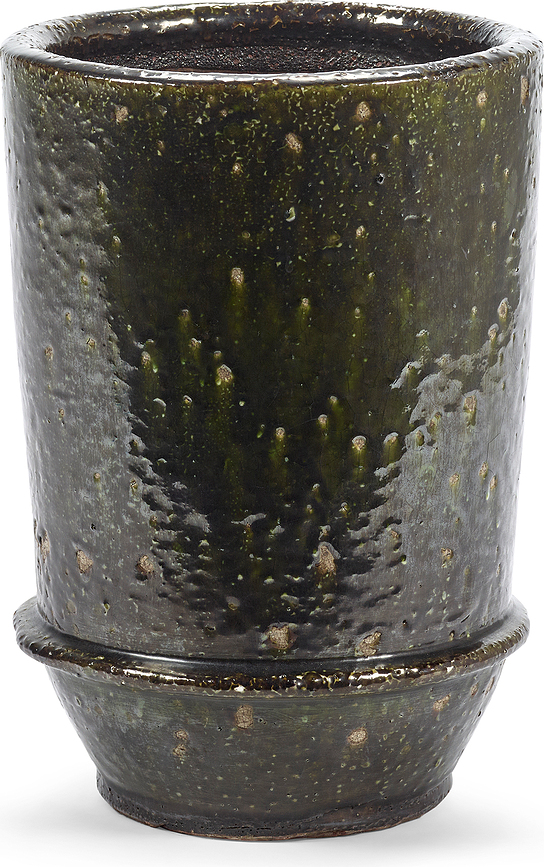 Dune Lonec, 26 cm, temno zelen