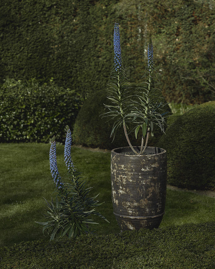 Dune Pot de fleurs 38 cm, marron foncé