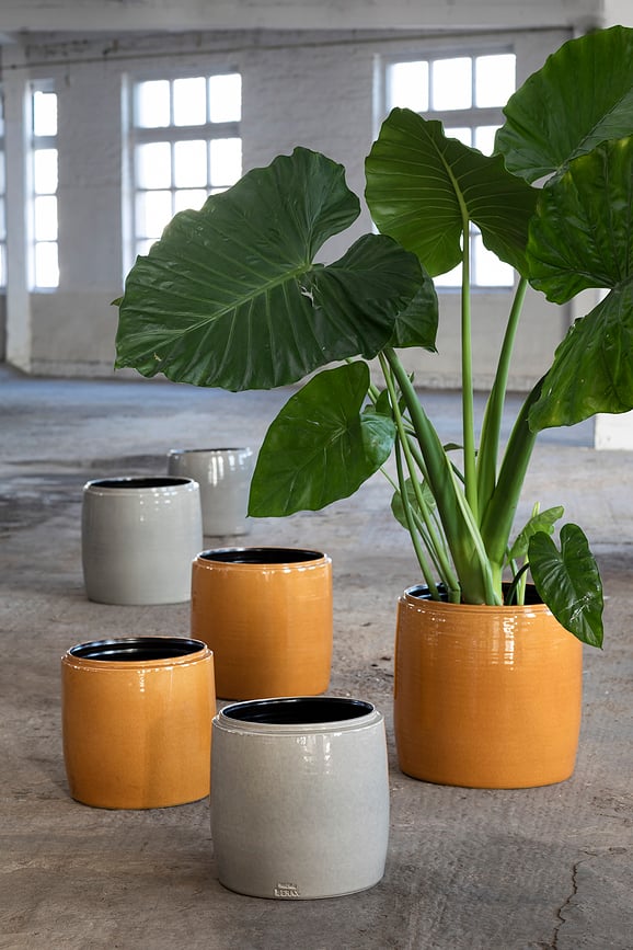 Glazed Shades Cache-Pot, 26 cm, miel