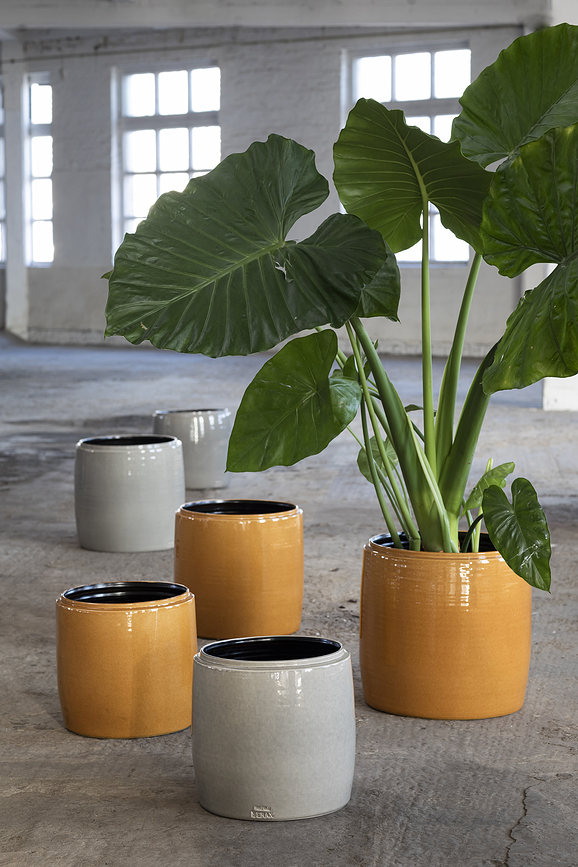 Glazed Shades Κασπώ, 38 cm, μελί