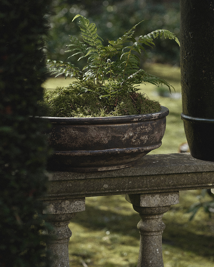 Maceta baja Dune, 49 cm, marrón oscuro