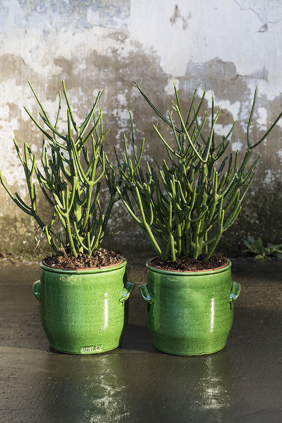 Macetero Jars 25 cm, verde