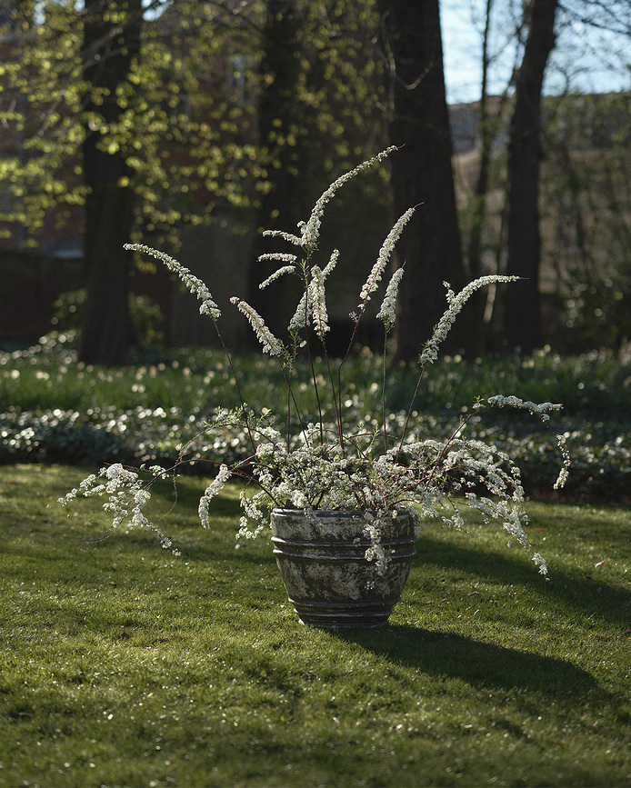Mesa Γλάστρα, 51 cm, μαύρη