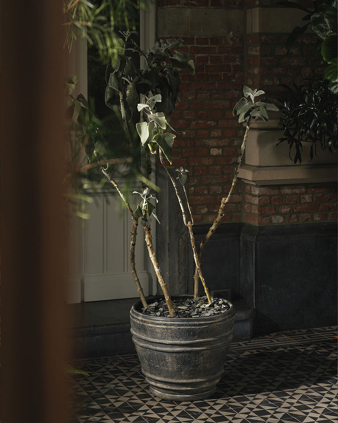 Mesa Pot de Fleurs 51 cm, noir