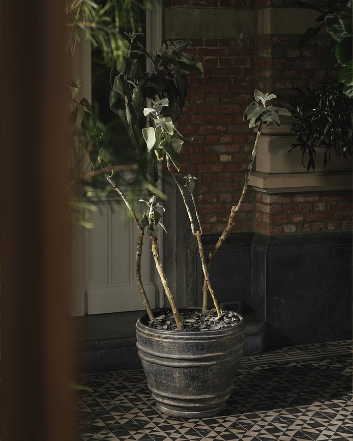 Mesa Posuda za cvijeće 51 cm crna