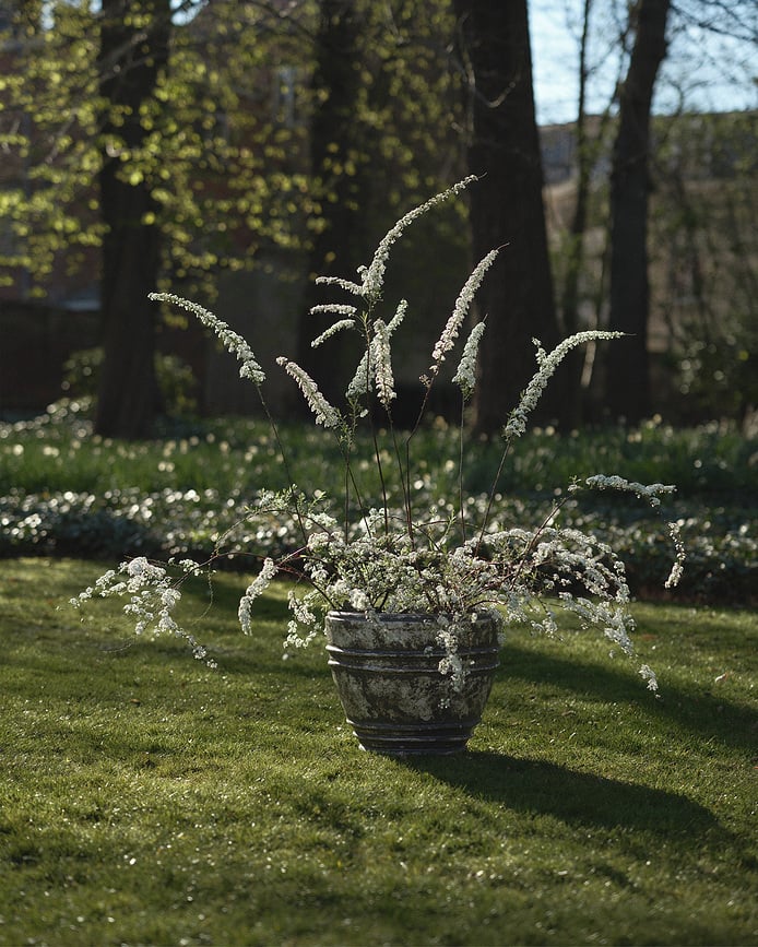 Mesa Posuda za cvijeće 51 cm crna