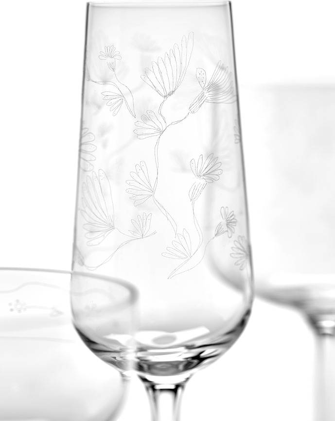 Midnight Flowers Čaša za šampanjac 260 ml