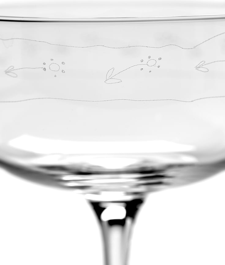 Midnight Flowers Čaša za šampanjac plitka 240 ml