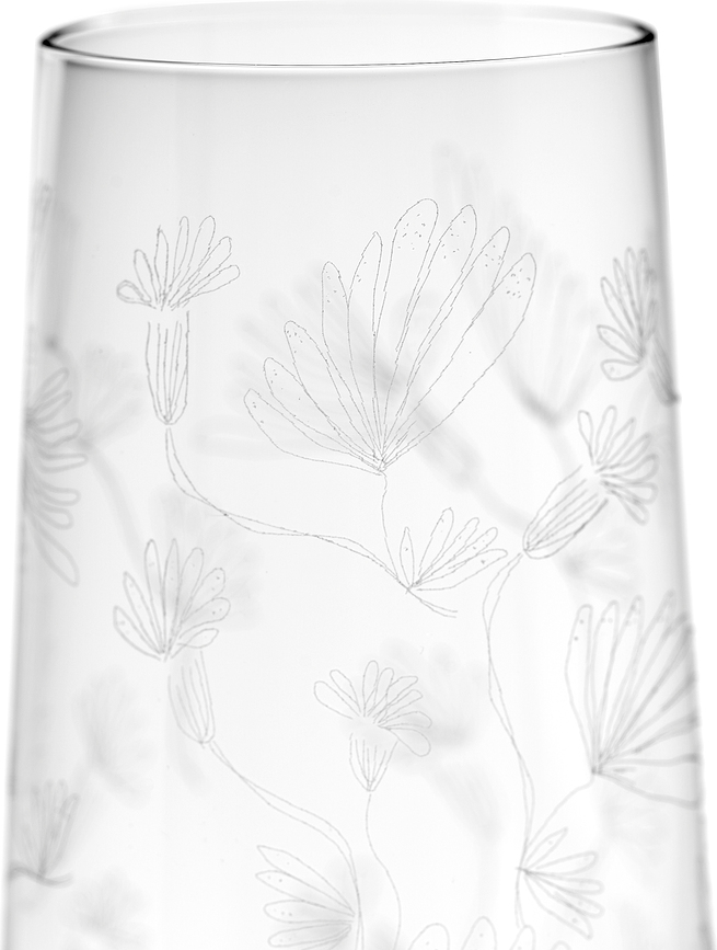 Midnight Flowers Flûtes à Champagne 260 ml, Lot de 4