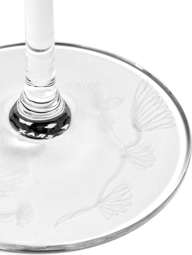 Midnight Flowers Kozarec za šampanjec, 260 ml