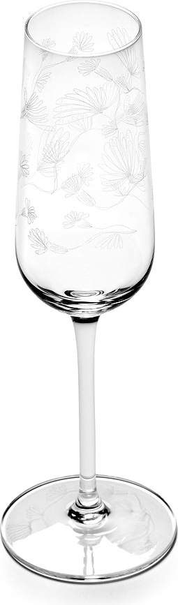 Midnight Flowers Ποτήρι Σαμπάνιας, 260 ml