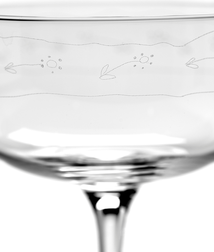 Midnight Flowers Ποτήρι Σαμπάνιας τύπου coupe, 240 ml