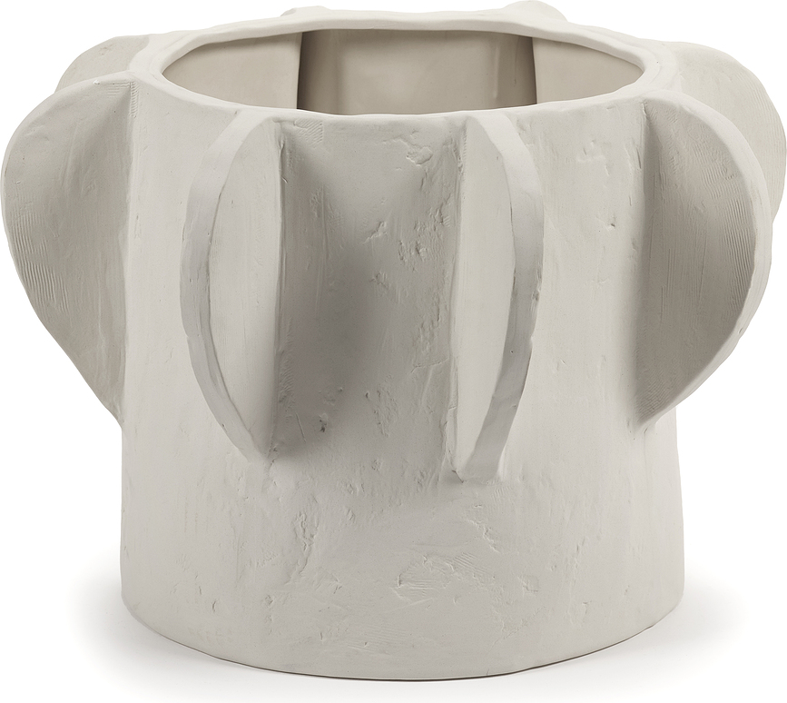 Molly 04 Γλάστρα