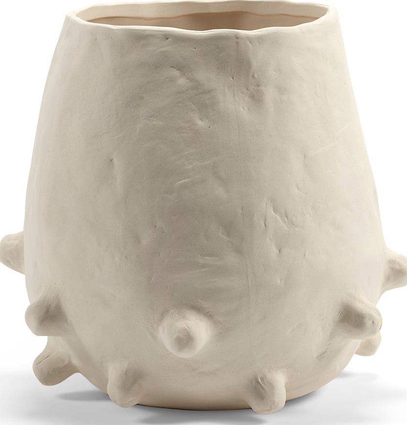 Molly 07 Κασπώ, 22 εκ.