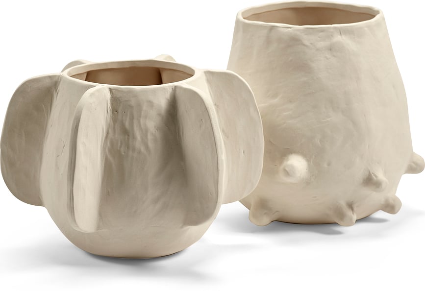 Molly 08 Κασπώ, 17 εκ