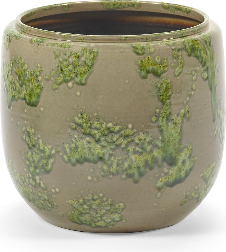 Mystique Κασπώ, 21 cm, πράσινο