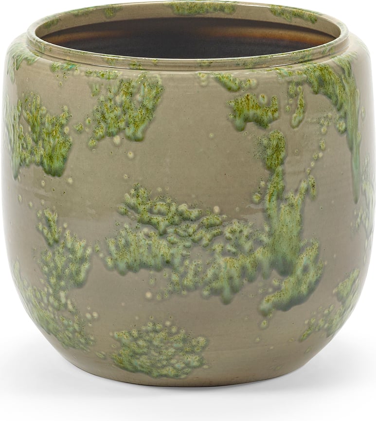 Mystique Κασπώ, 25 cm, πράσινο