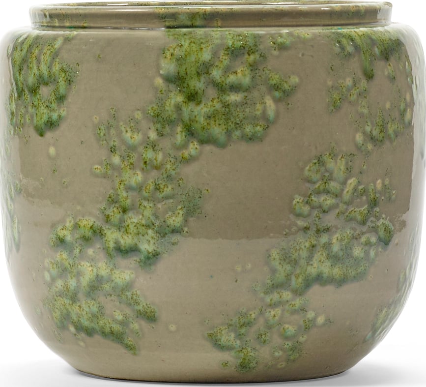 Mystique Κασπώ, 37 cm, πράσινο