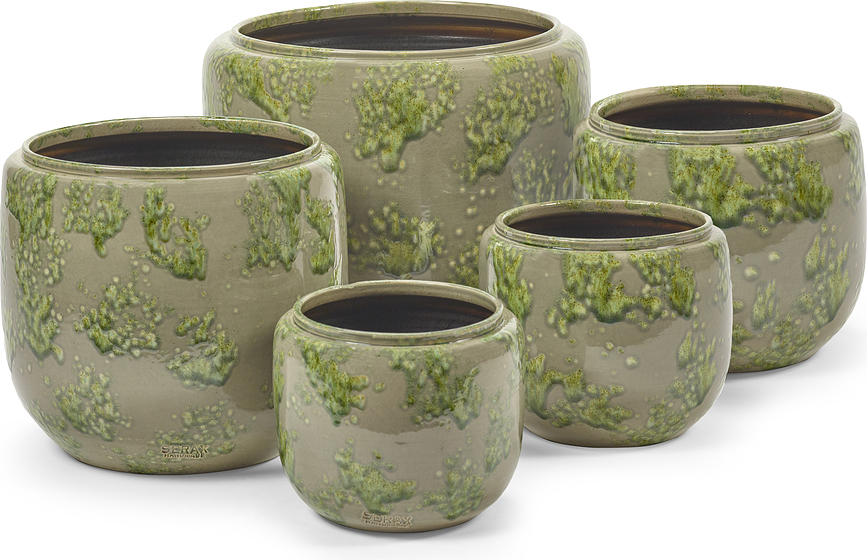 Mystique Okrasni lonec, 37 cm, zelen