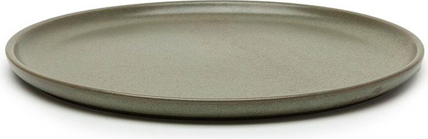 Platos llanos Surface, 24 cm, verde oscuro, 4 unidades