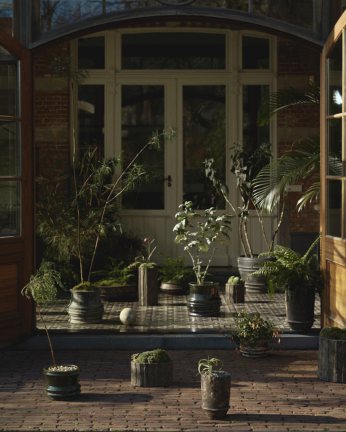 Rift Γλάστρα χαμηλή, 17 cm, πράσινη