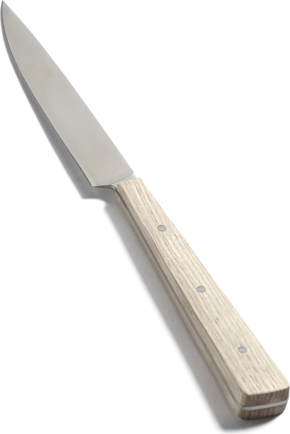 Set de cuchillos para carne Dune, 4 unidades