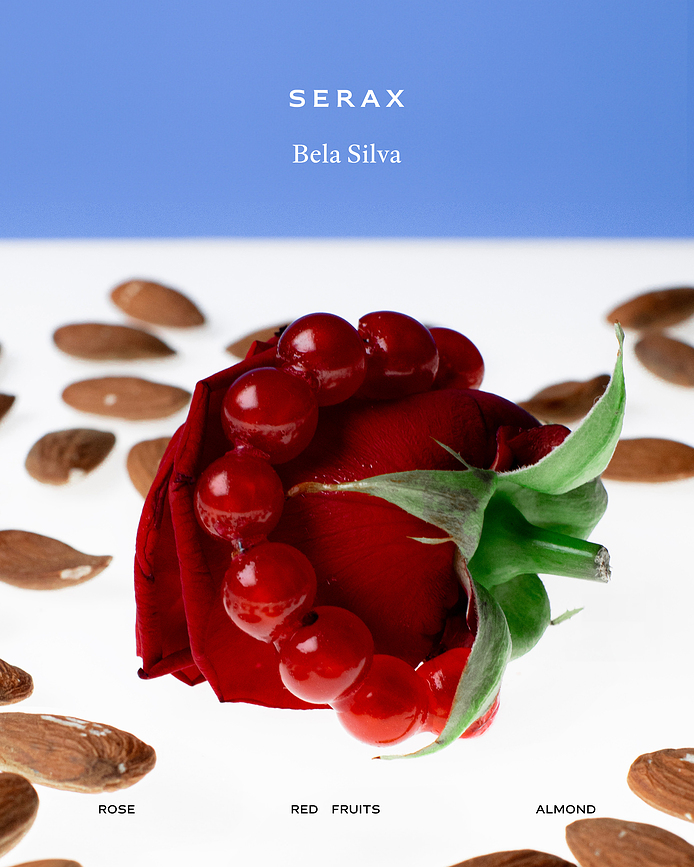 Sonata Dišeča sveča, 19,7 cm