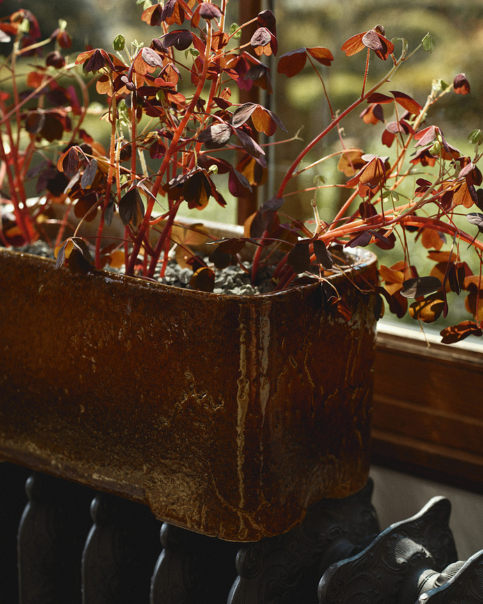Soporte para plantas Book, 40,5 cm, marrón
