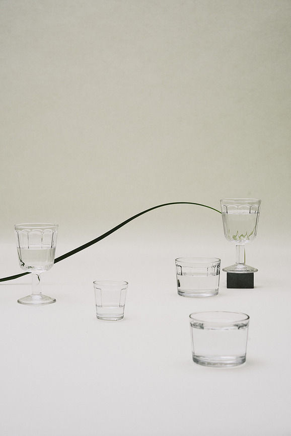 Surface Verres à Vin Rouge 230 ml, Lot de 4