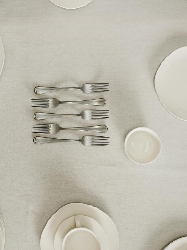 Surface Vilica desertna