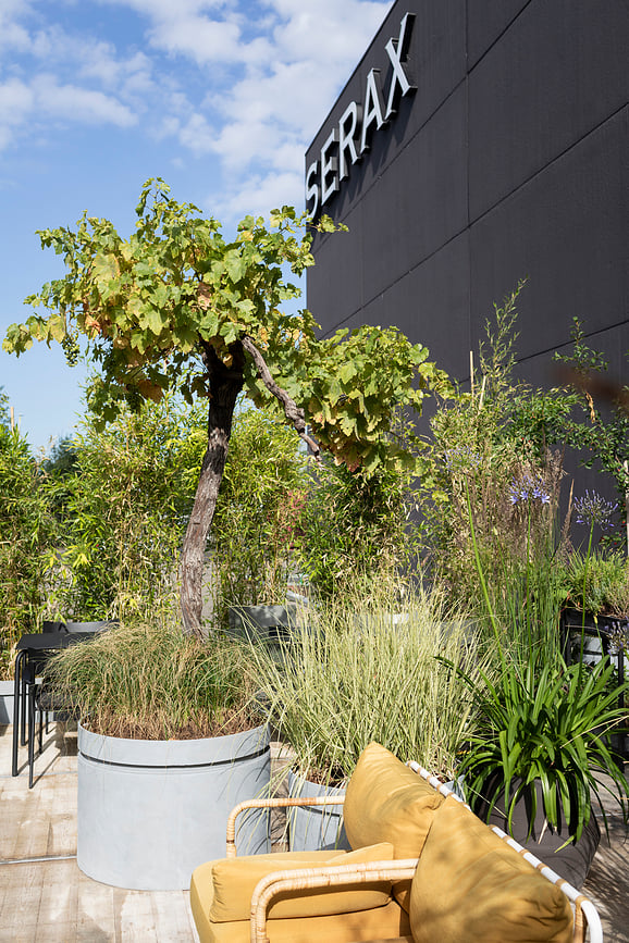 Urban Jungle Cvetlični lonec, 85 cm