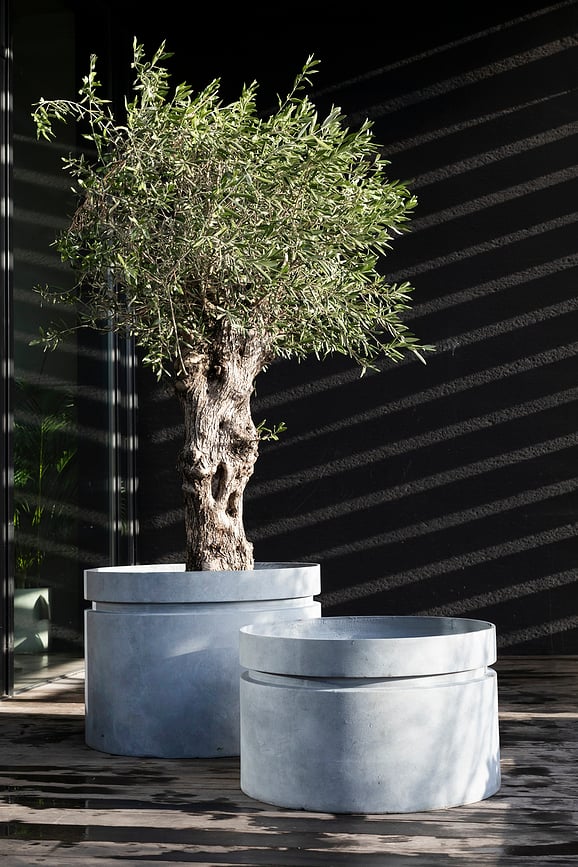 Urban Jungle Γλάστρα, 85 εκ.