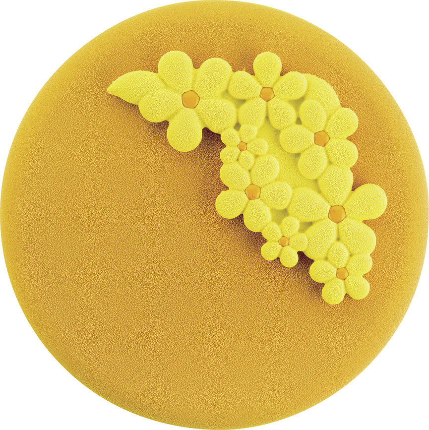 Flower Power Φόρμα, σιλικόνης, για κέικ