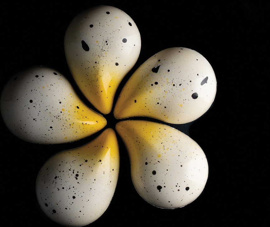 Goccia P Moule à Chocolat, en tritan