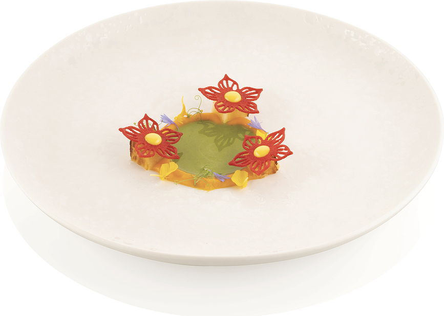 Molde para Aperitivos Botanica