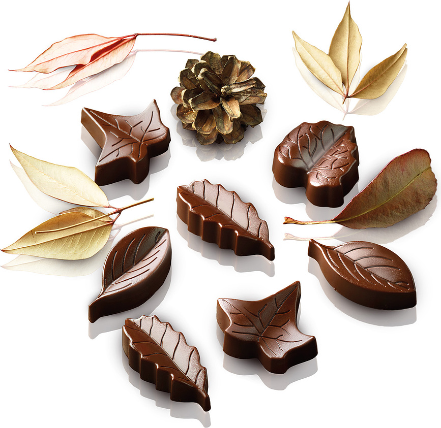 Molde para Chocolates Scg10 Nature, de silicona