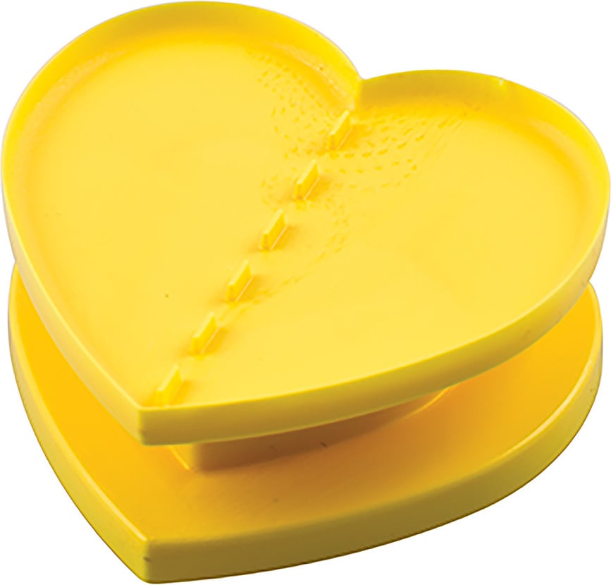 Molde para galletas de la fortuna For You