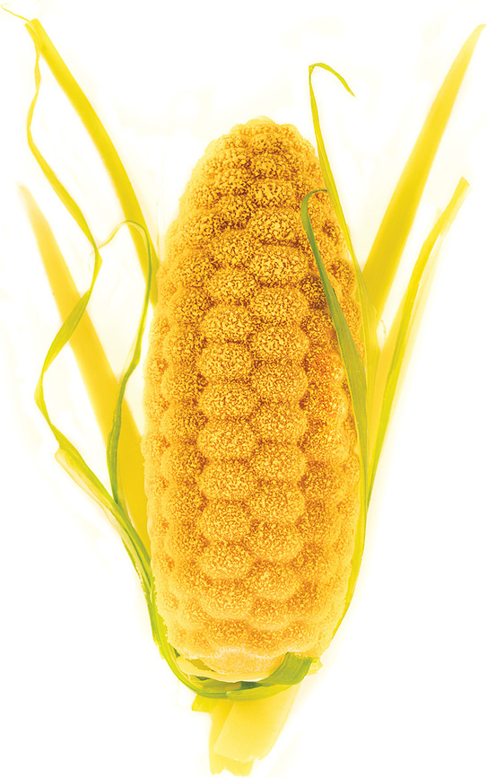 Pannocchia Kalup za predjela