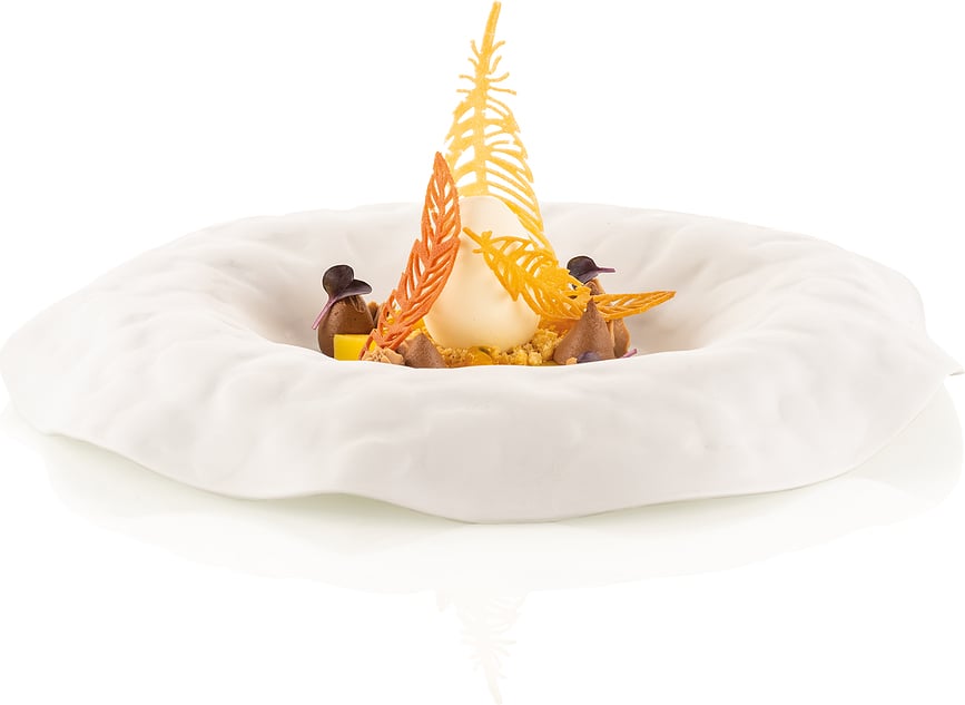 Piuma Kalup za predjela