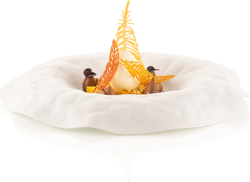 Piuma Moule pour entrées