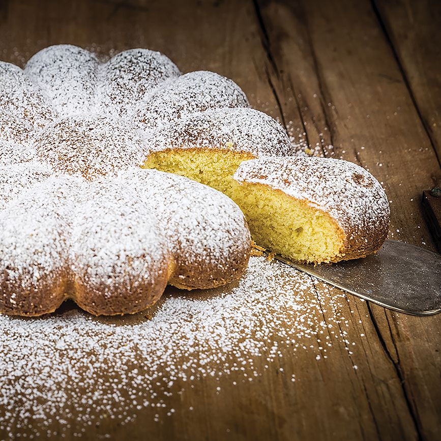 Primavera Kalup za kolače silikonski