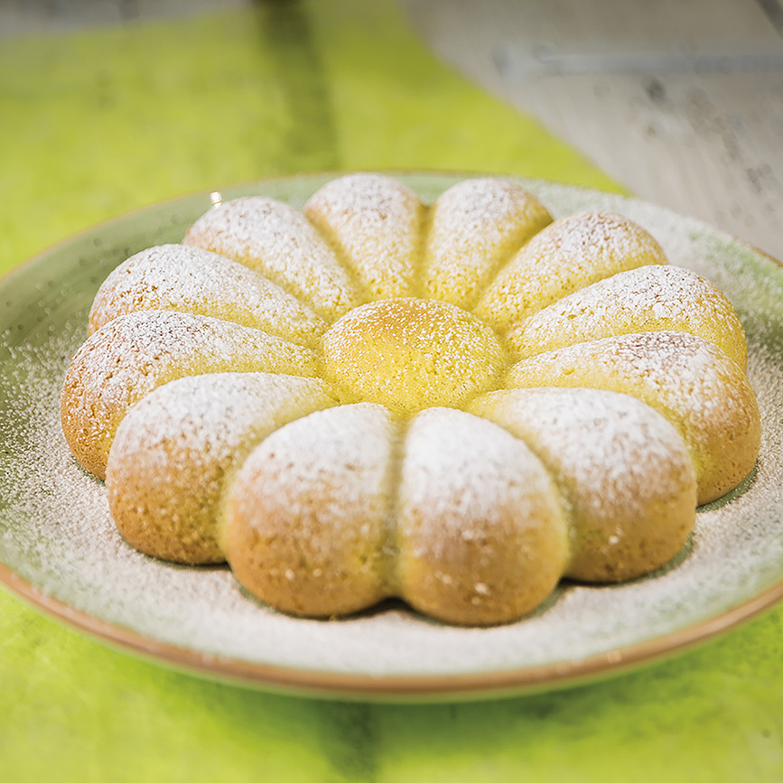 Primavera Moule à Gâteau, en silicone