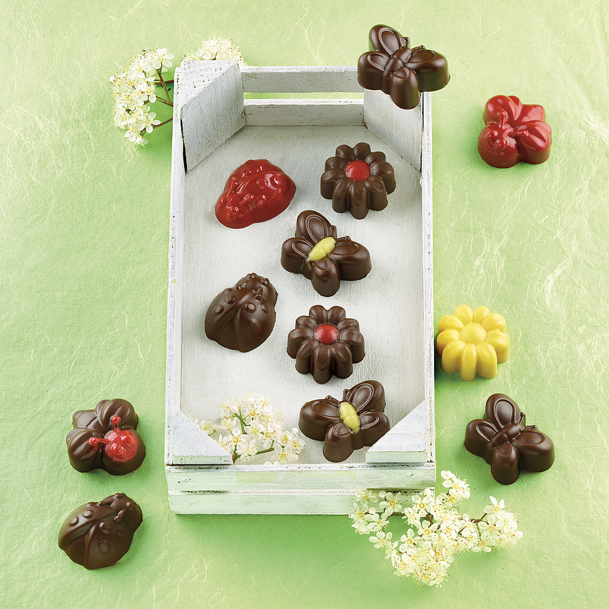 Scg24 Choco Springlife Moule à Chocolats, en silicone