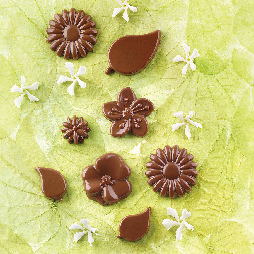 Scg44 Choco Garden Kalup za čokolade silikonski