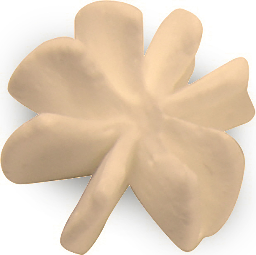 Silikomart Bx5017 Douille à Pâtisserie, 17 x 47 mm